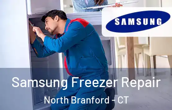  Samsung Freezer Repair North Branford - CT