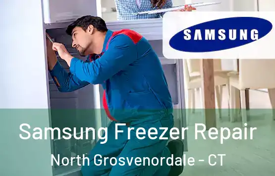  Samsung Freezer Repair North Grosvenordale - CT