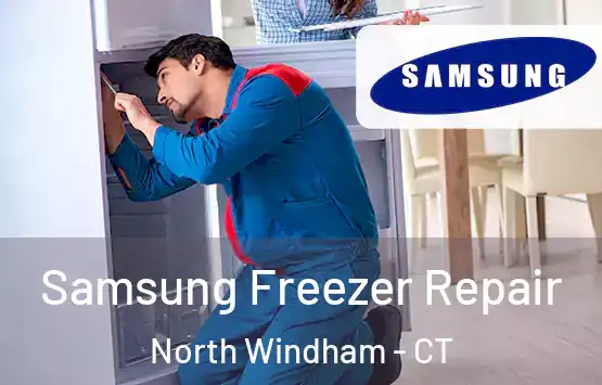  Samsung Freezer Repair North Windham - CT