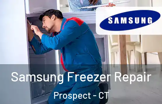  Samsung Freezer Repair Prospect - CT