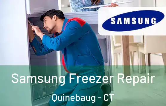  Samsung Freezer Repair Quinebaug - CT