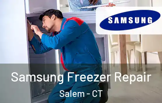  Samsung Freezer Repair Salem - CT