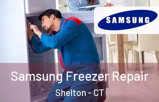  Samsung Freezer Repair Shelton - CT