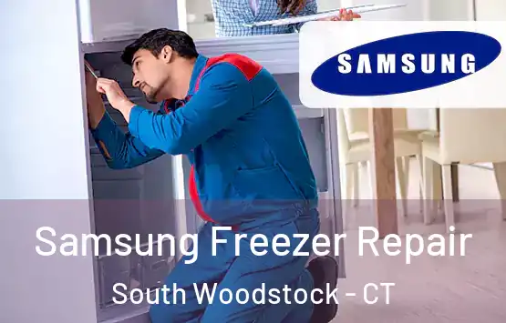  Samsung Freezer Repair South Woodstock - CT