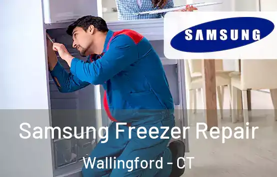  Samsung Freezer Repair Wallingford - CT