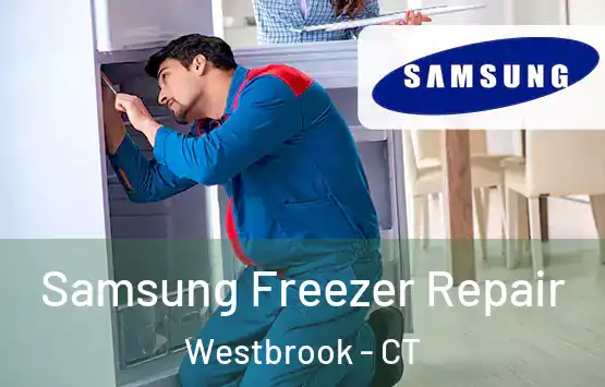  Samsung Freezer Repair Westbrook - CT