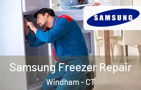  Samsung Freezer Repair Windham - CT