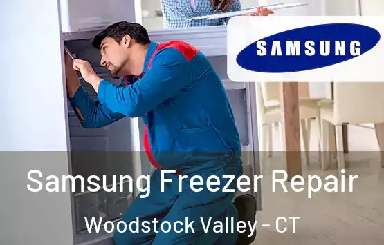  Samsung Freezer Repair Woodstock Valley - CT