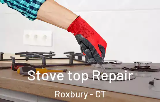  Stove top Repair Roxbury - CT