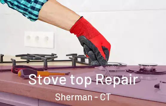  Stove top Repair Sherman - CT