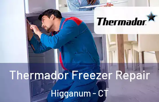  Thermador Freezer Repair Higganum - CT