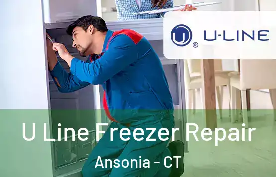  U Line Freezer Repair Ansonia - CT