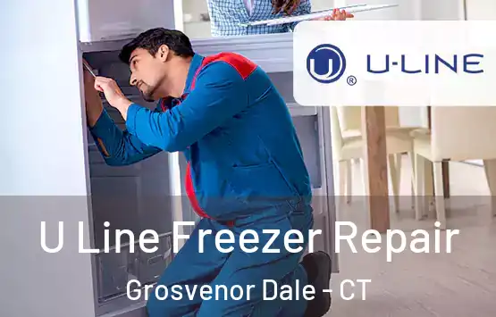  U Line Freezer Repair Grosvenor Dale - CT