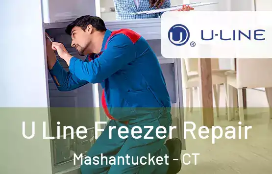  U Line Freezer Repair Mashantucket - CT