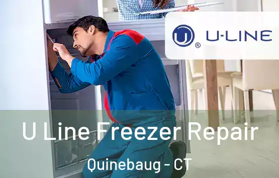  U Line Freezer Repair Quinebaug - CT
