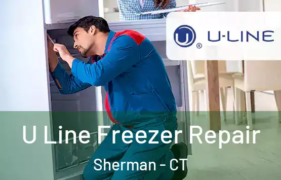  U Line Freezer Repair Sherman - CT