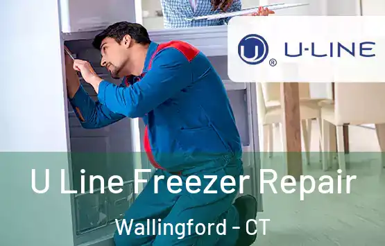  U Line Freezer Repair Wallingford - CT