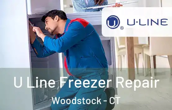  U Line Freezer Repair Woodstock - CT