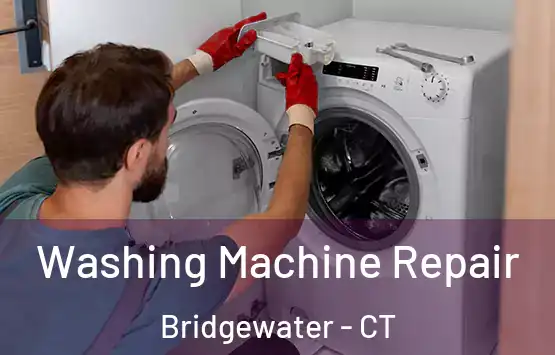  Washing Machine Repair Bridgewater - CT