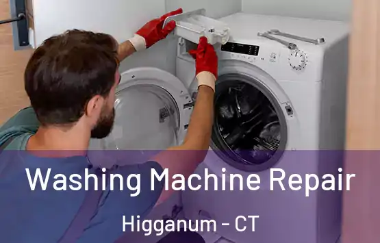  Washing Machine Repair Higganum - CT
