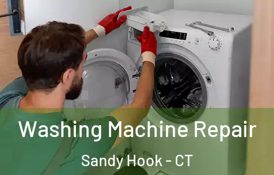 Washing Machine Repair Sandy Hook - CT