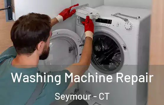  Washing Machine Repair Seymour - CT