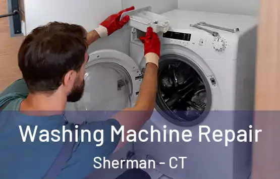  Washing Machine Repair Sherman - CT