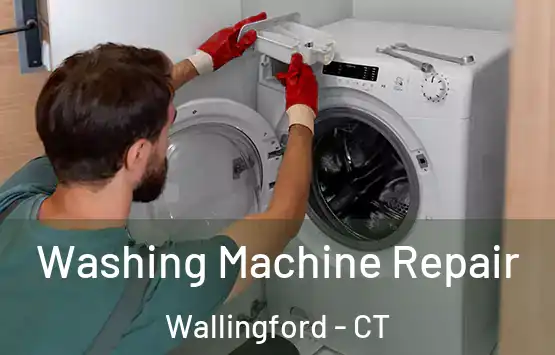  Washing Machine Repair Wallingford - CT