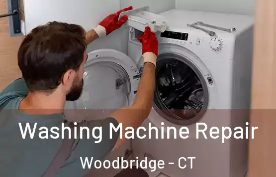  Washing Machine Repair Woodbridge - CT