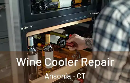  Wine Cooler Repair Ansonia - CT