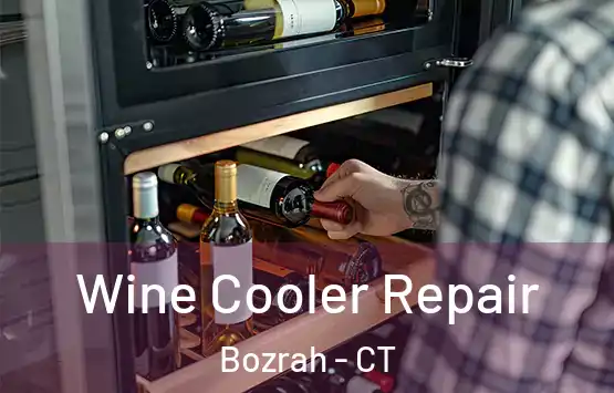  Wine Cooler Repair Bozrah - CT