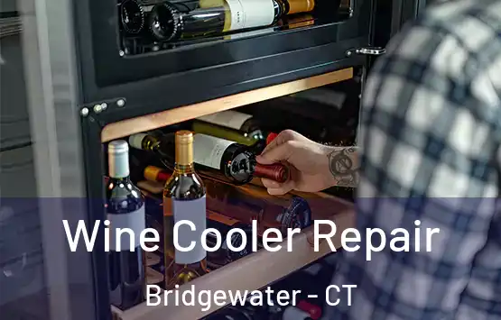  Wine Cooler Repair Bridgewater - CT
