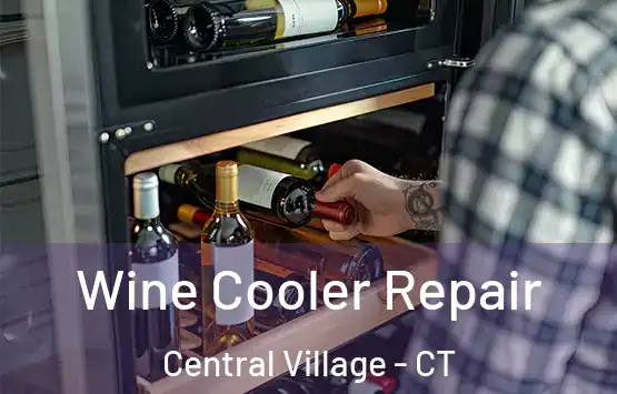  Wine Cooler Repair Central Village - CT