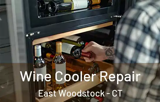  Wine Cooler Repair East Woodstock - CT