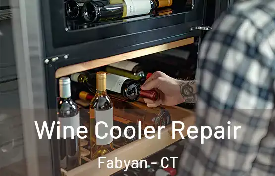  Wine Cooler Repair Fabyan - CT