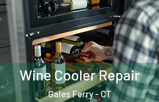  Wine Cooler Repair Gales Ferry - CT