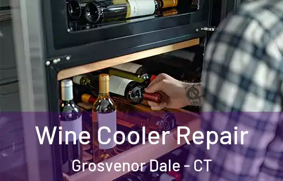  Wine Cooler Repair Grosvenor Dale - CT