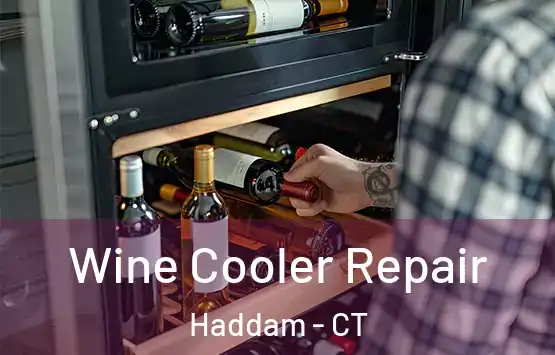  Wine Cooler Repair Haddam - CT