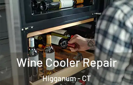  Wine Cooler Repair Higganum - CT