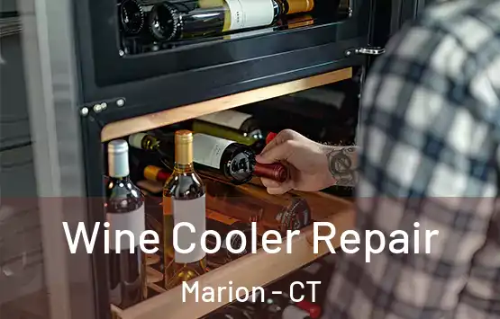  Wine Cooler Repair Marion - CT