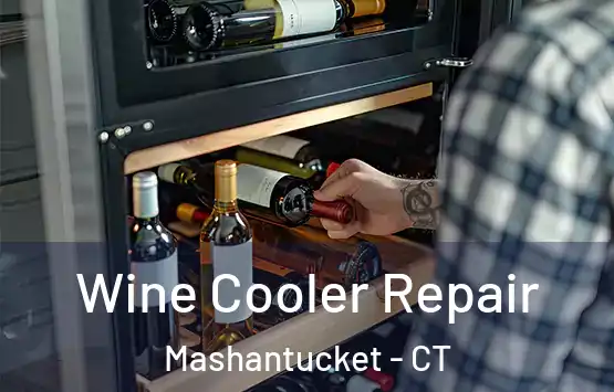  Wine Cooler Repair Mashantucket - CT