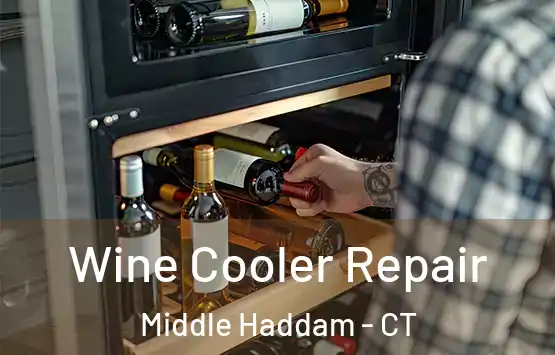  Wine Cooler Repair Middle Haddam - CT