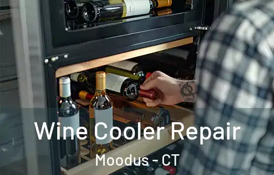  Wine Cooler Repair Moodus - CT