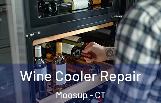 Wine Cooler Repair Moosup - CT