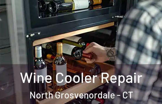  Wine Cooler Repair North Grosvenordale - CT
