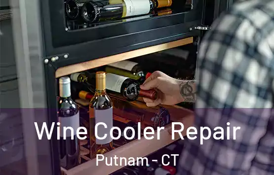  Wine Cooler Repair Putnam - CT