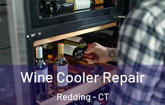  Wine Cooler Repair Redding - CT