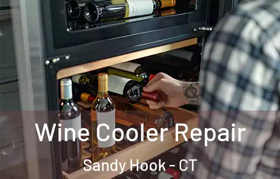  Wine Cooler Repair Sandy Hook - CT