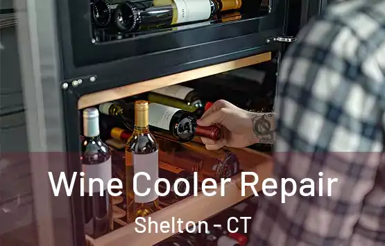  Wine Cooler Repair Shelton - CT