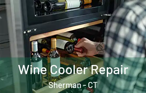  Wine Cooler Repair Sherman - CT